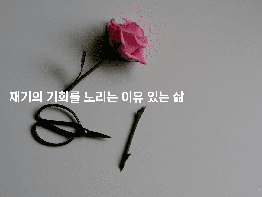 재기의 기회를 노리는 이유 있는 삶-공항노숙자