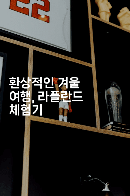 환상적인 겨울 여행, 라플란드 체험기2-공항노숙자