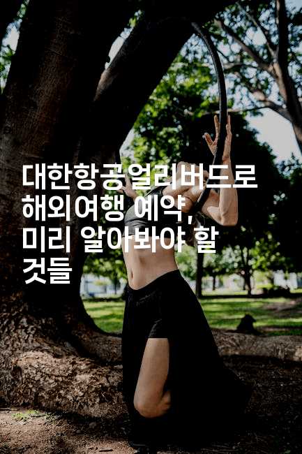 대한항공얼리버드로 해외여행 예약, 미리 알아봐야 할 것들