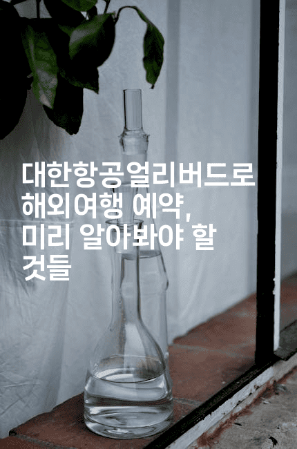 대한항공얼리버드로 해외여행 예약, 미리 알아봐야 할 것들2-공항노숙자