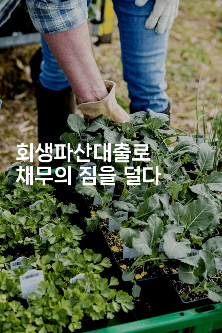 회생파산대출로 채무의 짐을 덜다