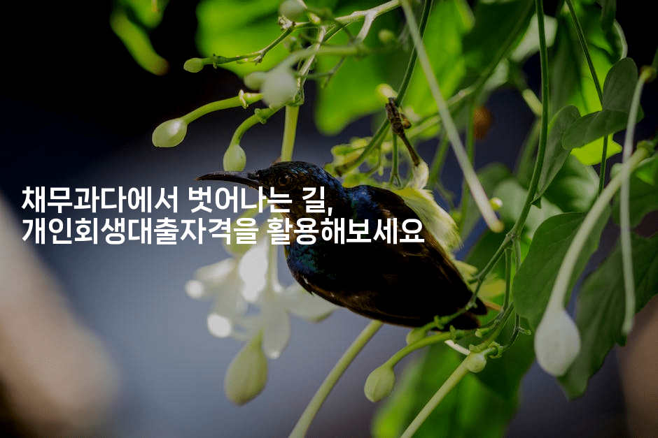 채무과다에서 벗어나는 길, 개인회생대출자격을 활용해보세요-공항노숙자