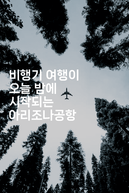 비행기 여행이 오늘 밤에 시작되는 아리조나공항 2-공항노숙자