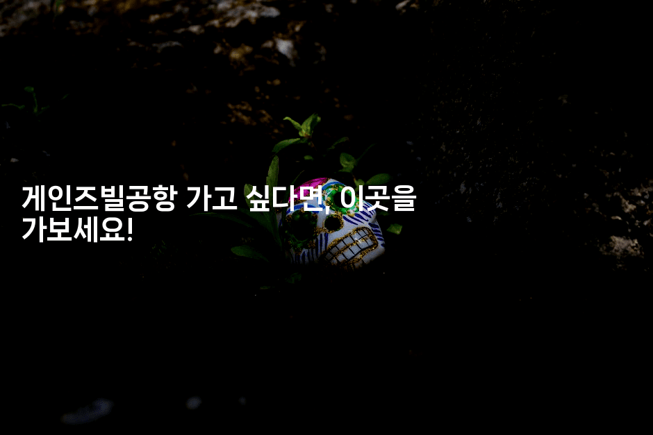 게인즈빌공항 가고 싶다면, 이곳을 가보세요!2-공항노숙자