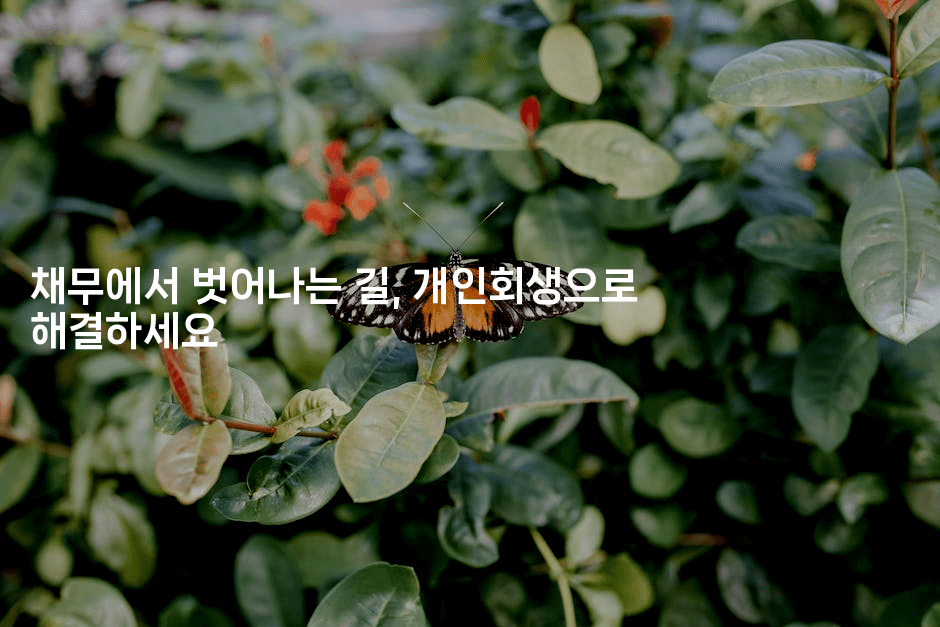 채무에서 벗어나는 길, 개인회생으로 해결하세요-공항노숙자