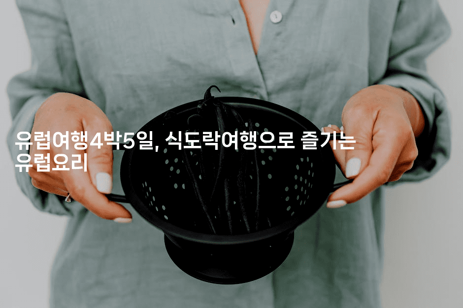 유럽여행4박5일, 식도락여행으로 즐기는 유럽요리2-공항노숙자