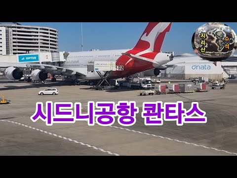 시드니 호주공항 콴타스 이륙