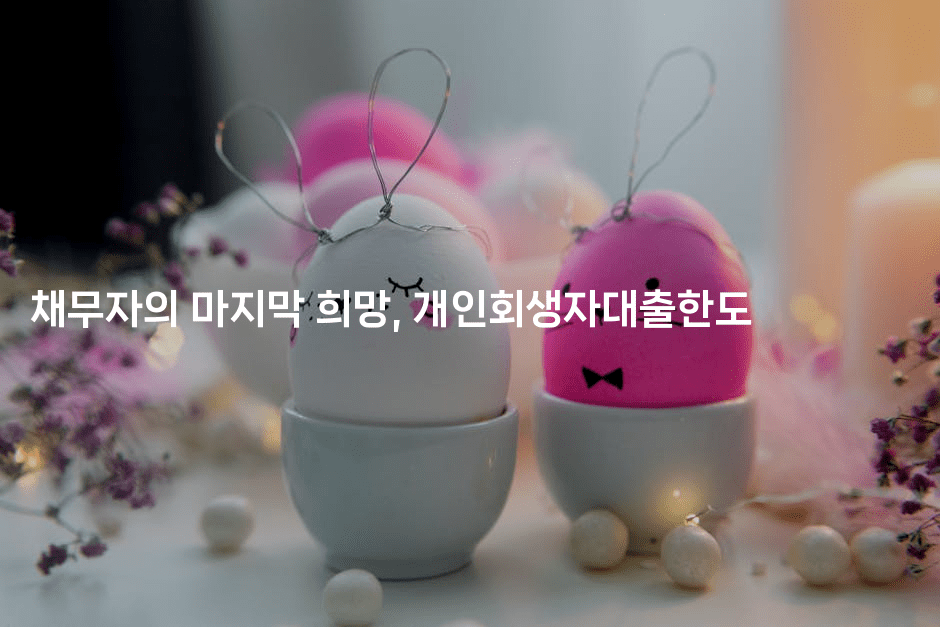 채무자의 마지막 희망, 개인회생자대출한도-공항노숙자