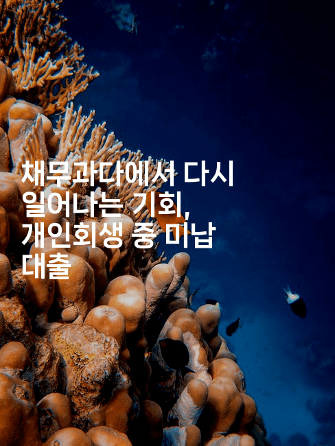 채무과다에서 다시 일어나는 기회, 개인회생 중 미납 대출-공항노숙자