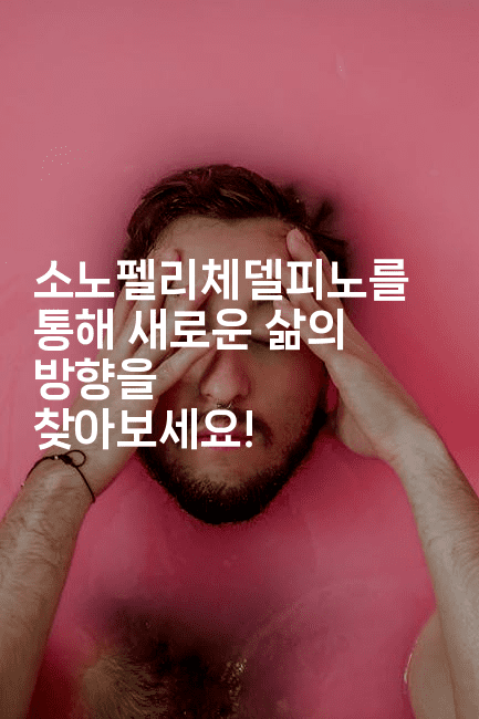 소노펠리체델피노를 통해 새로운 삶의 방향을 찾아보세요!-공항노숙자