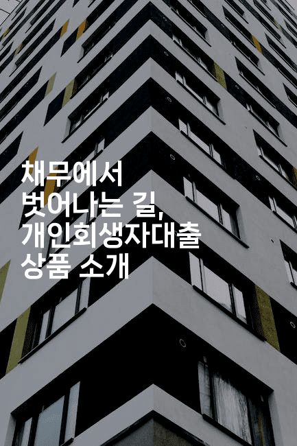 채무에서 벗어나는 길, 개인회생자대출 상품 소개-공항노숙자