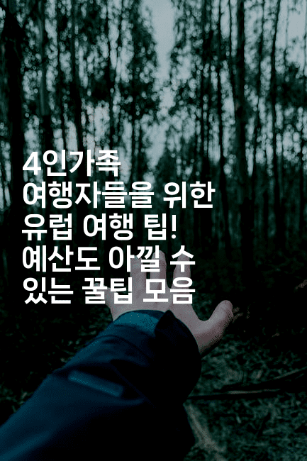 4인가족 여행자들을 위한 유럽 여행 팁! 예산도 아낄 수 있는 꿀팁 모음-공항노숙자