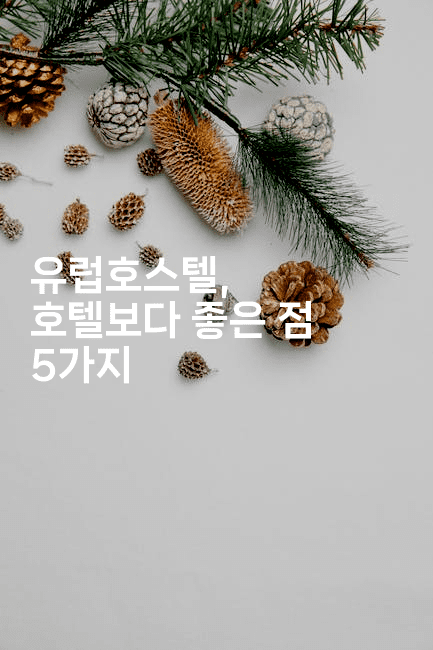 유럽호스텔, 호텔보다 좋은 점 5가지-공항노숙자