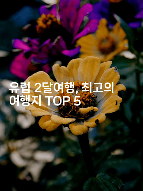 유럽 2달여행, 최고의 여행지 TOP 5-공항노숙자