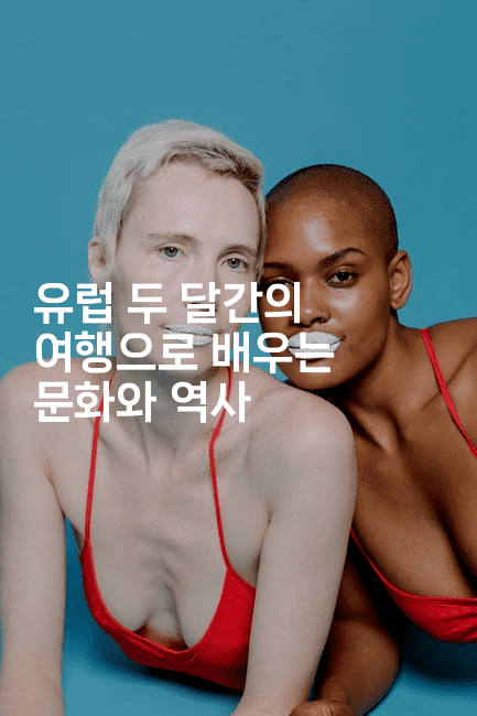 유럽 두 달간의 여행으로 배우는 문화와 역사-공항노숙자