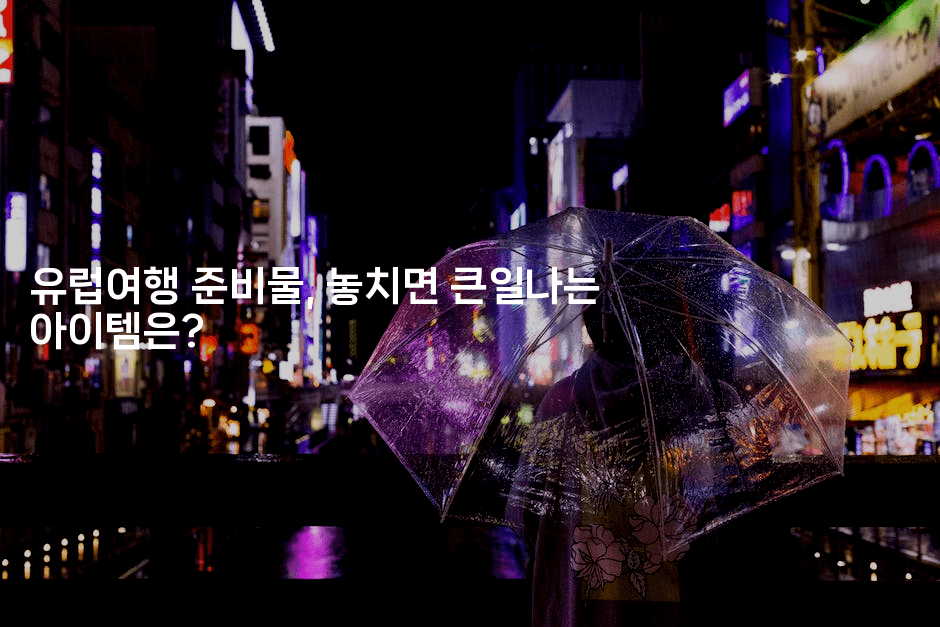 유럽여행 준비물, 놓치면 큰일나는 아이템은?-공항노숙자