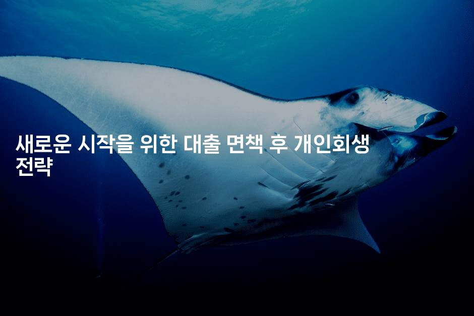 새로운 시작을 위한 대출 면책 후 개인회생 전략-공항노숙자