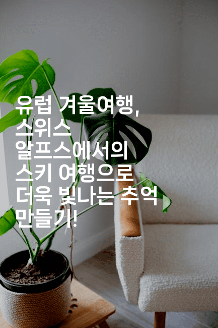 유럽 겨울여행, 스위스 알프스에서의 스키 여행으로 더욱 빛나는 추억 만들기!-공항노숙자