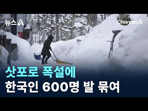 삿포로 폭설에 한국인 600명 발 묶여 / 채널A / 뉴스A