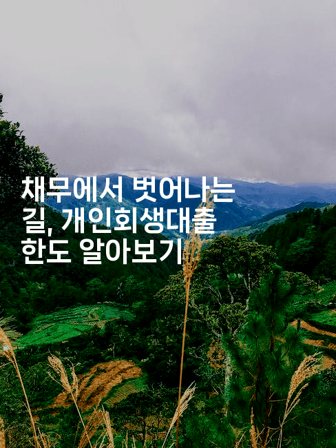 채무에서 벗어나는 길, 개인회생대출 한도 알아보기-공항노숙자