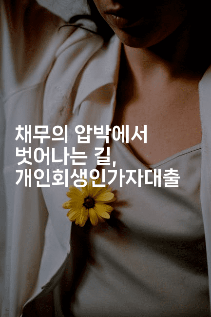 채무의 압박에서 벗어나는 길, 개인회생인가자대출