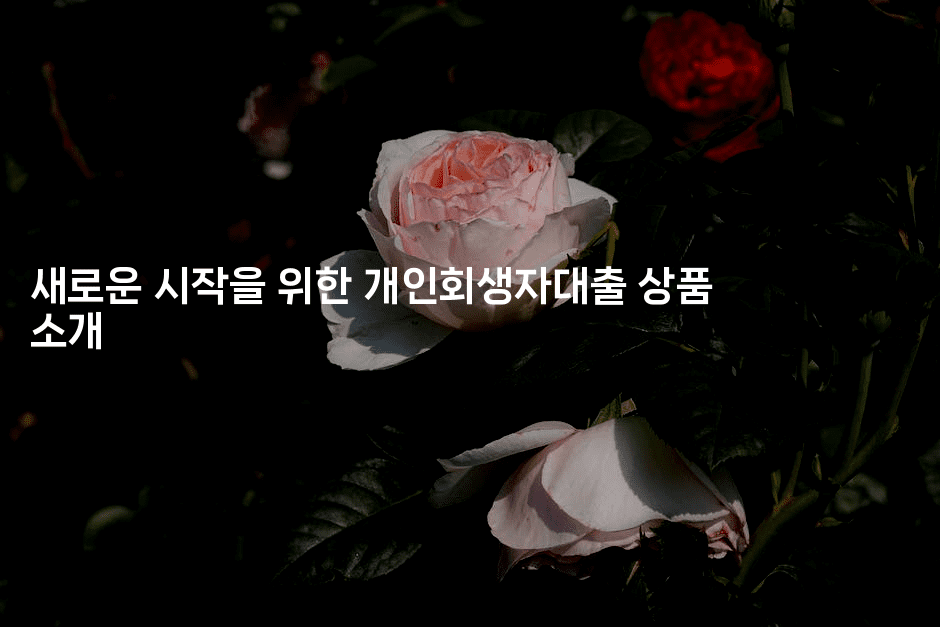 새로운 시작을 위한 개인회생자대출 상품 소개