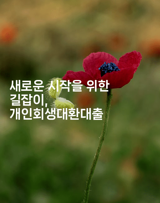 새로운 시작을 위한 길잡이, 개인회생대환대출