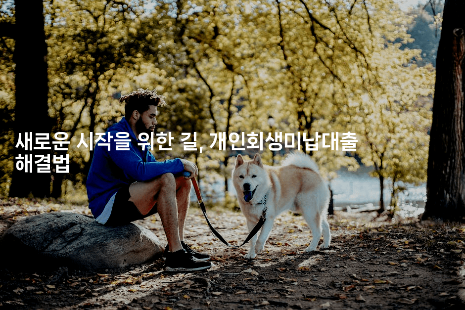 새로운 시작을 위한 길, 개인회생미납대출 해결법